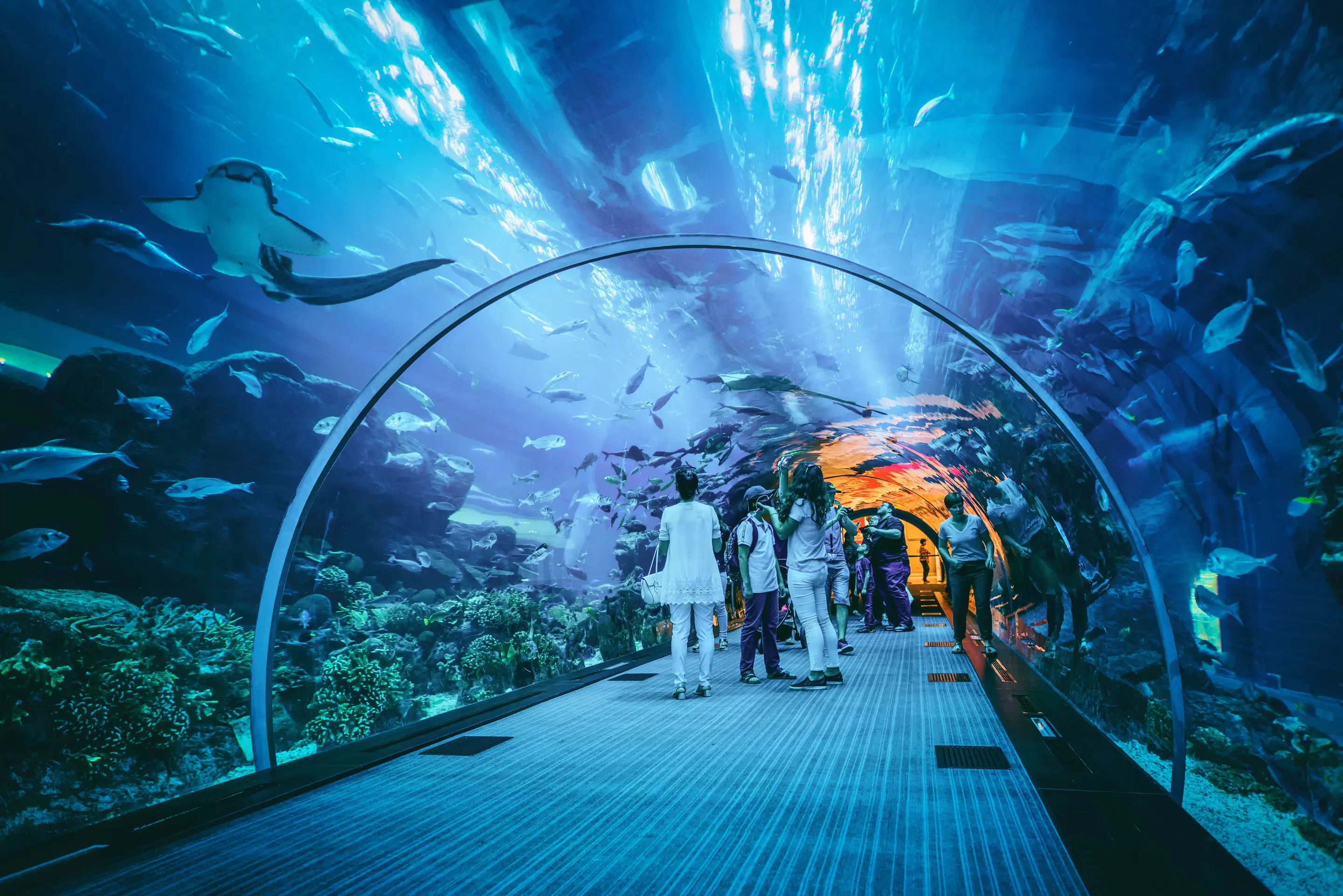 Aquaria KLCC Ticket – Kuala Lumpur, Malaysia
